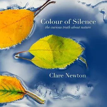 Colour of Silence cover