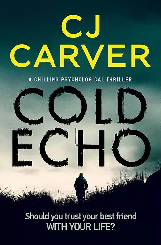 Cold Echo cover