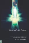 Meeting Spirit Beings cover
