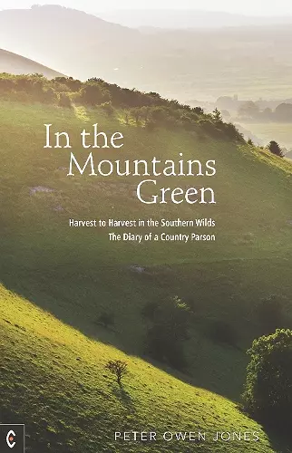 In the Mountains Green cover