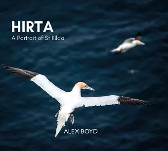 Hirta cover