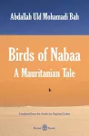 Birds of Nabaa cover