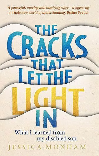 The Cracks that Let the Light In cover