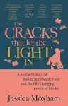 The Cracks that Let the Light In cover