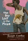The Boy Lost in the Maze cover