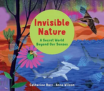 Invisible Nature cover