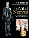 The Vital Nerves cover