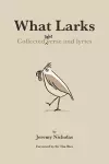 What Larks cover