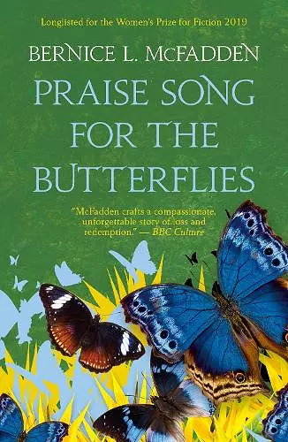 Praise Song For The Butterflies cover