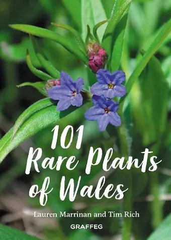 101 Rare Plants of Wales cover