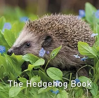 Nature Book Series, The: The Hedgehog Book cover