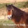 The Native Pony Book cover