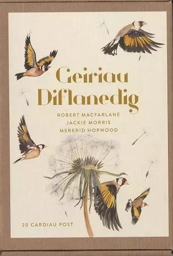 Geiriau Diflanedig (20 Cardiau Post) cover