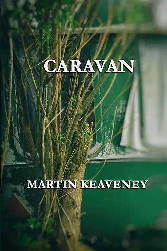 Caravan cover