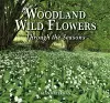 Woodland Wild Flowers cover