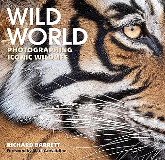 Wild World cover