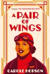 A Pair of Wings cover
