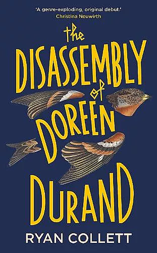 The Disassembly of Doreen Durand cover