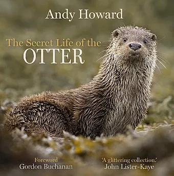 The Secret Life of the Otter cover