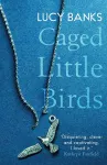Caged Little Birds packaging