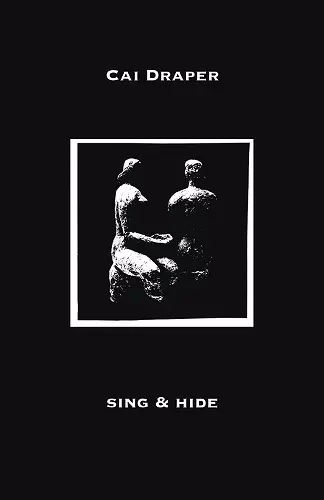 sing & hide cover