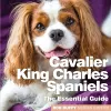Cavalier King Charles Spaniels cover