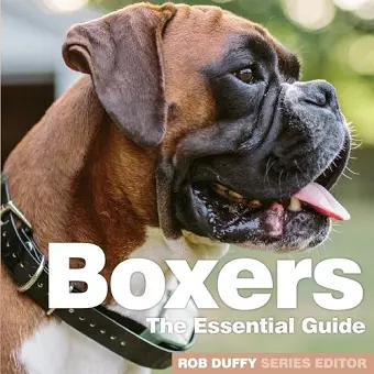 Boxers cover