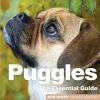Puggles cover