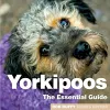 Yorkipoos cover