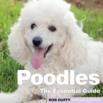 Poodles cover