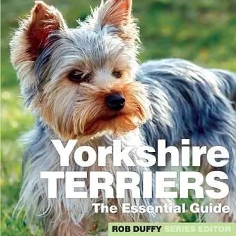 Yorkshire Terriers cover