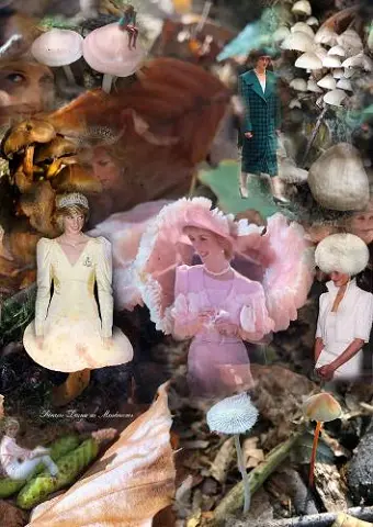 Princess Diana as Mushrooms cover