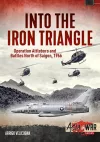Into the Iron Triangle cover