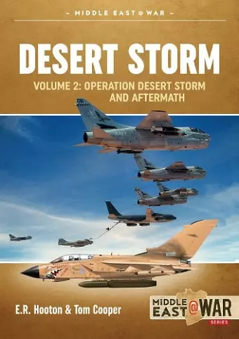 Desert Storm Volume 2 cover