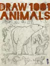 Draw 1,001 Animals cover