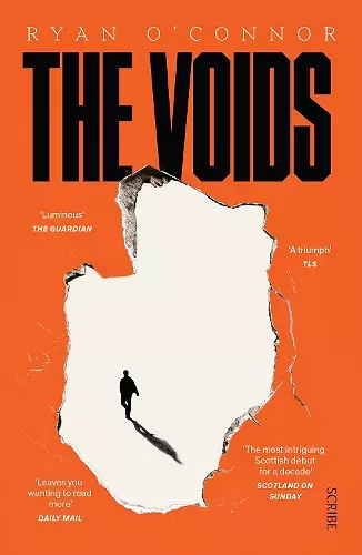 The Voids cover