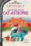 The Diamond Delhi Catastrophe cover