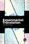 Experimental Translation cover