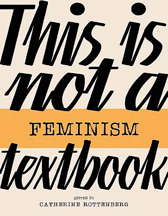 This Is Not a Feminism Textbook cover