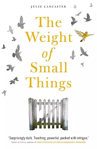 The Weight of Small Things cover