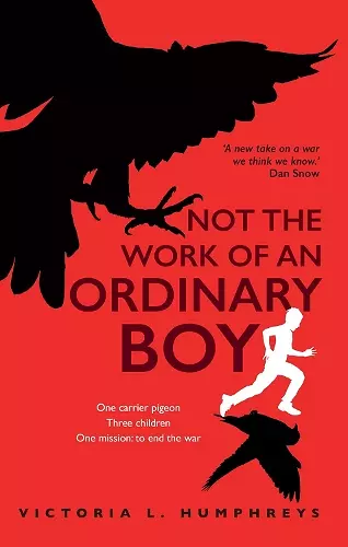 Not the Work of an Ordinary Boy cover