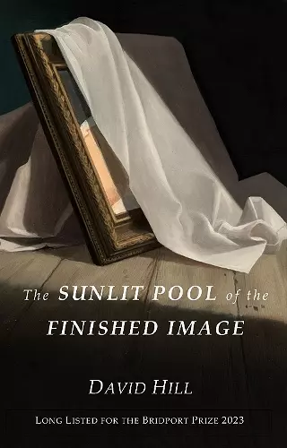 The Sunlit Pool of the Finished Image cover