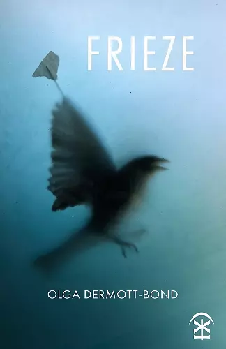 Frieze cover