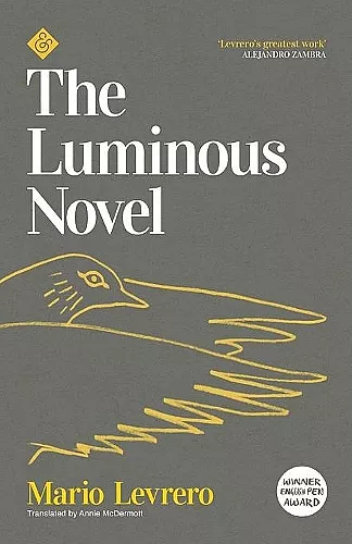 The Luminous Novel cover