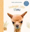 Goodnight Little Llama cover