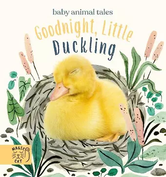 Goodnight, Little Duckling cover