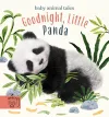 Goodnight, Little Panda cover