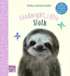 Goodnight, Little Sloth cover