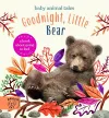 Goodnight, Little Bear cover