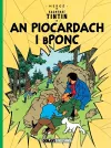 An Piocardach i Bponc cover